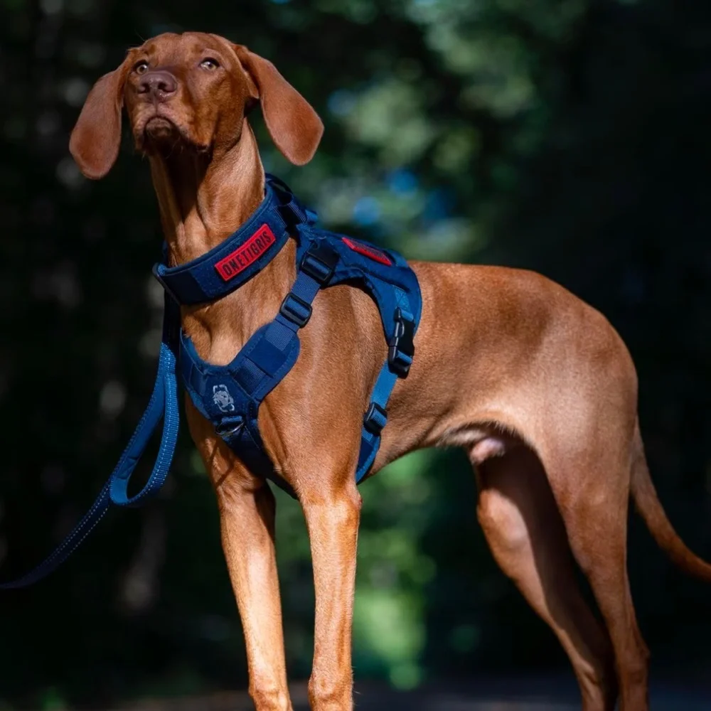 New Onetigris no pull dog harness L